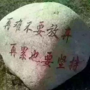 Meet your Posher, Xue qin
